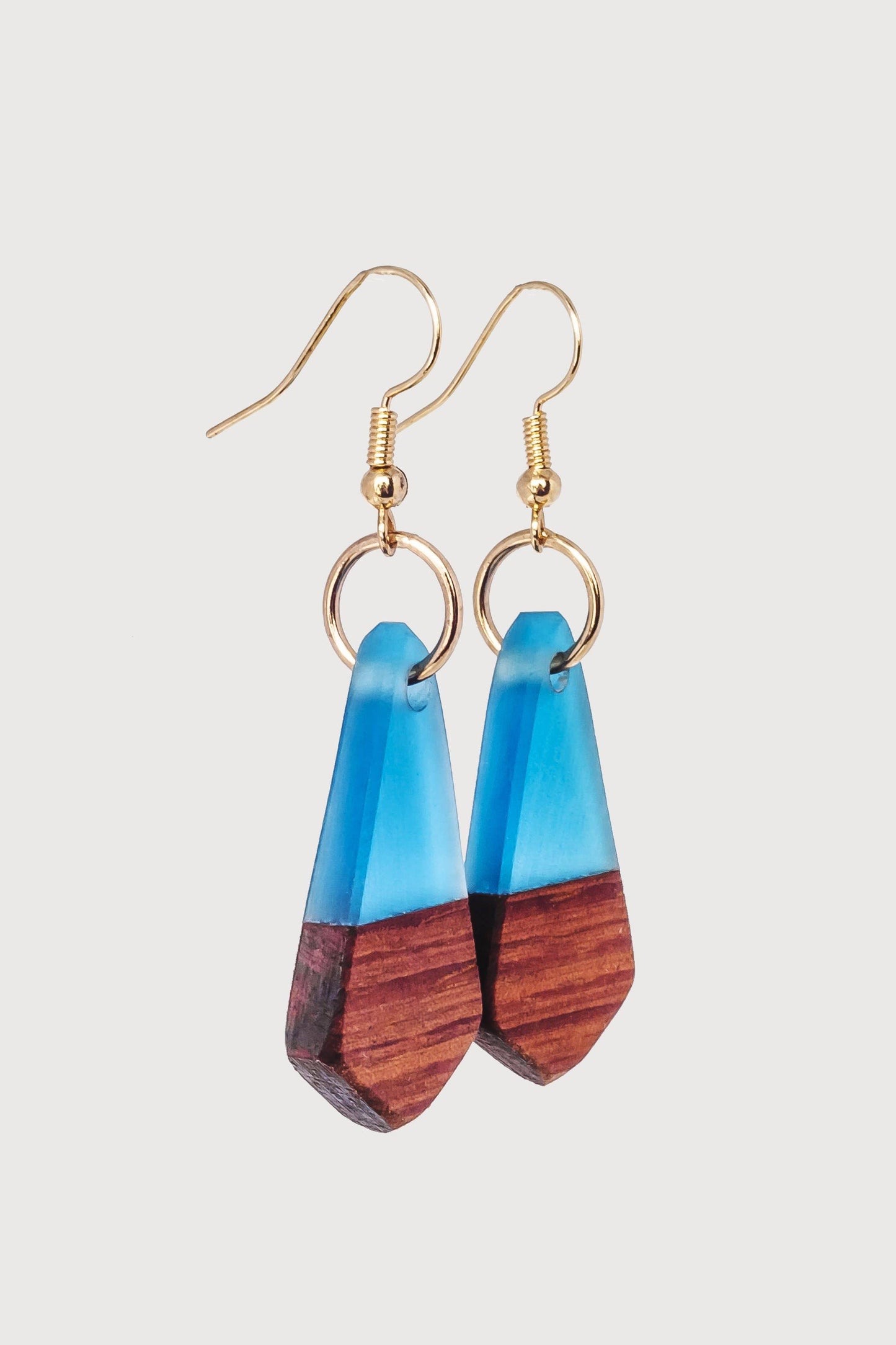 Lola Wooden & Resin Earring