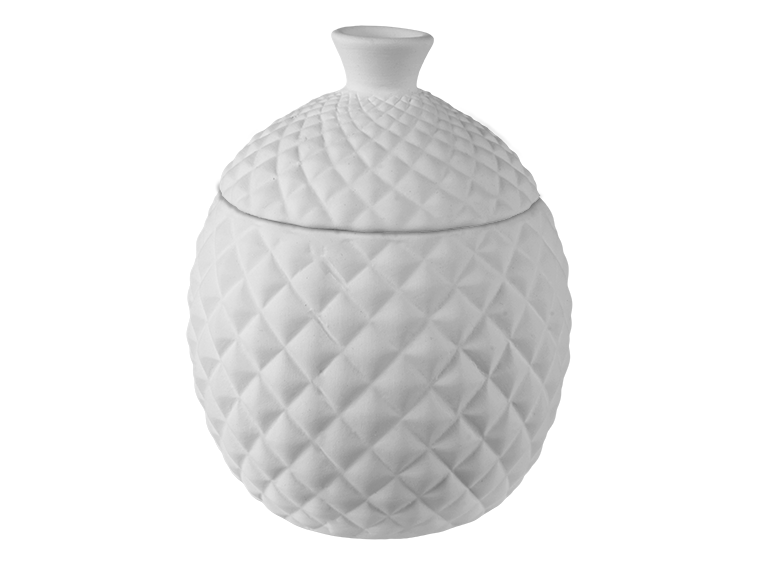 Pinnacle Fruitfly Trap Bisquware