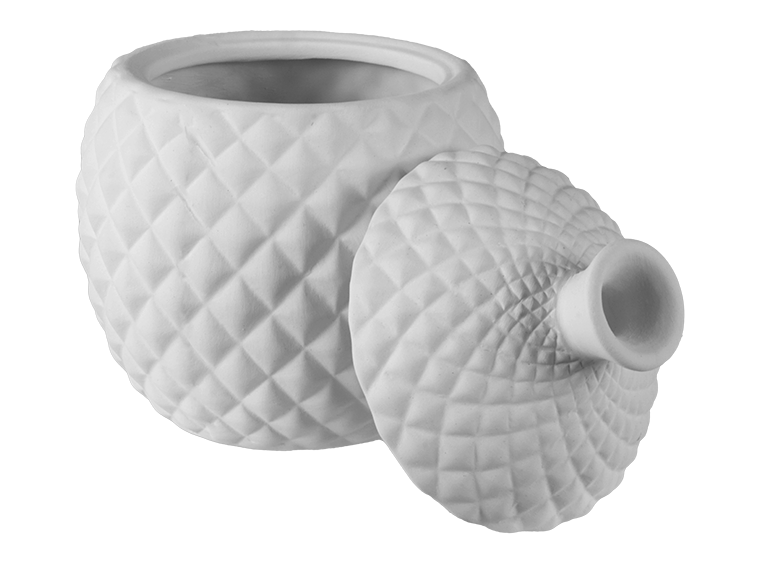 Pinnacle Fruitfly Trap Bisquware