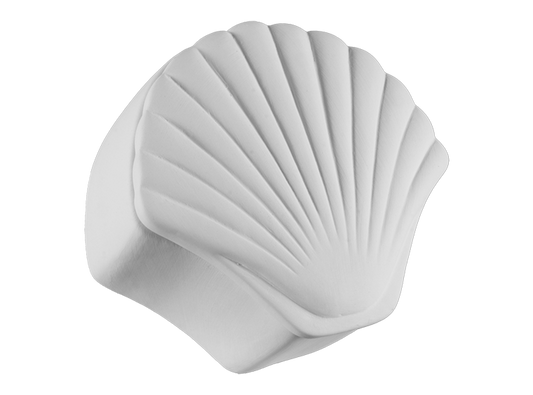 Seashell Box Bisqueware