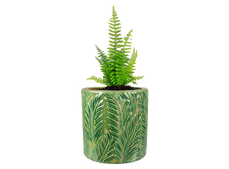 Tropical Fern Planter Bisqueware