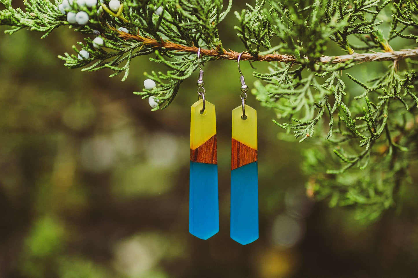 Melanie Wooden & Resin Earrings