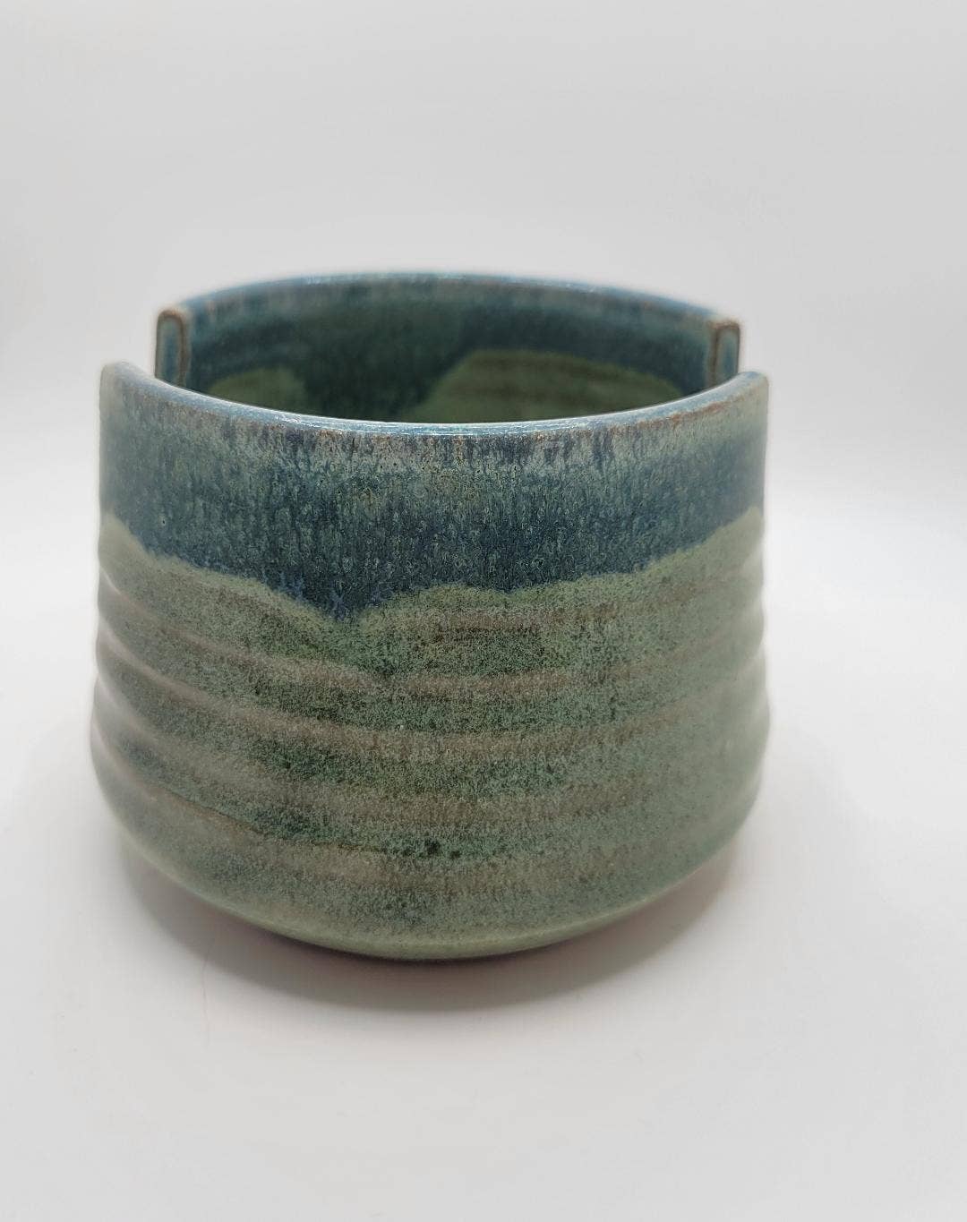 Dragonfly Sponge Holder