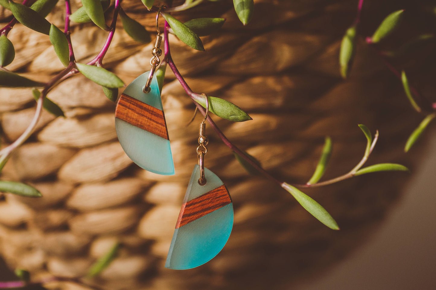 Venus Wooden & Resin Earrings