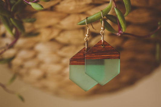 Rowena Wooden & Resin Earrings