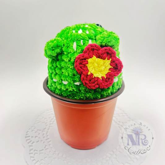 Potted Catcus - Crochet Cuties