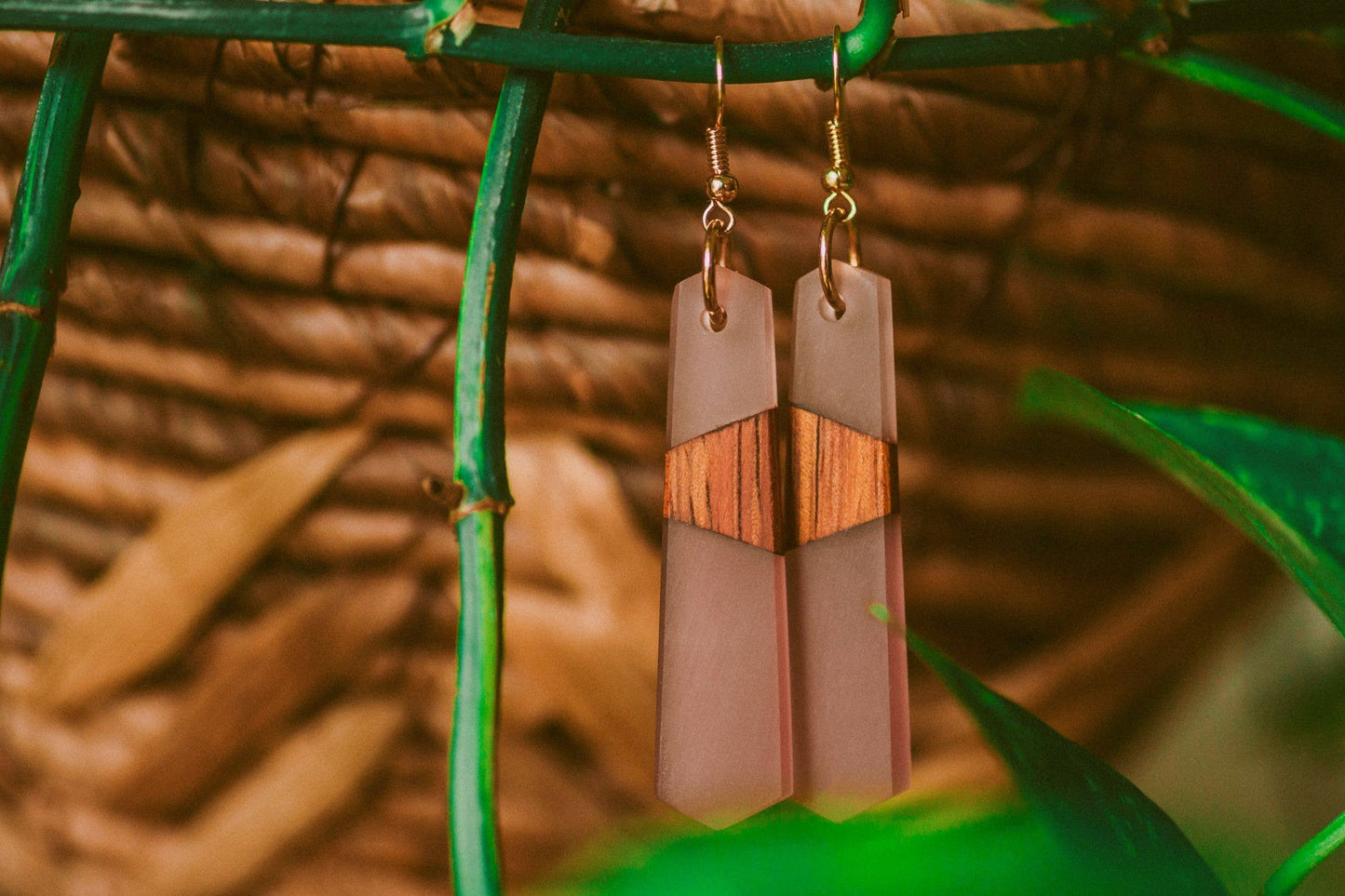 Lasalle Wooden & Resin Earrings
