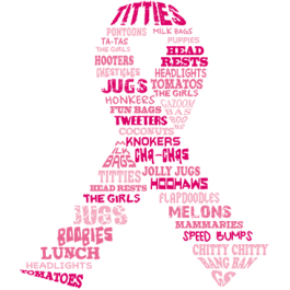 BCA Long Sleeved T-shirt with Word Ribbon Design