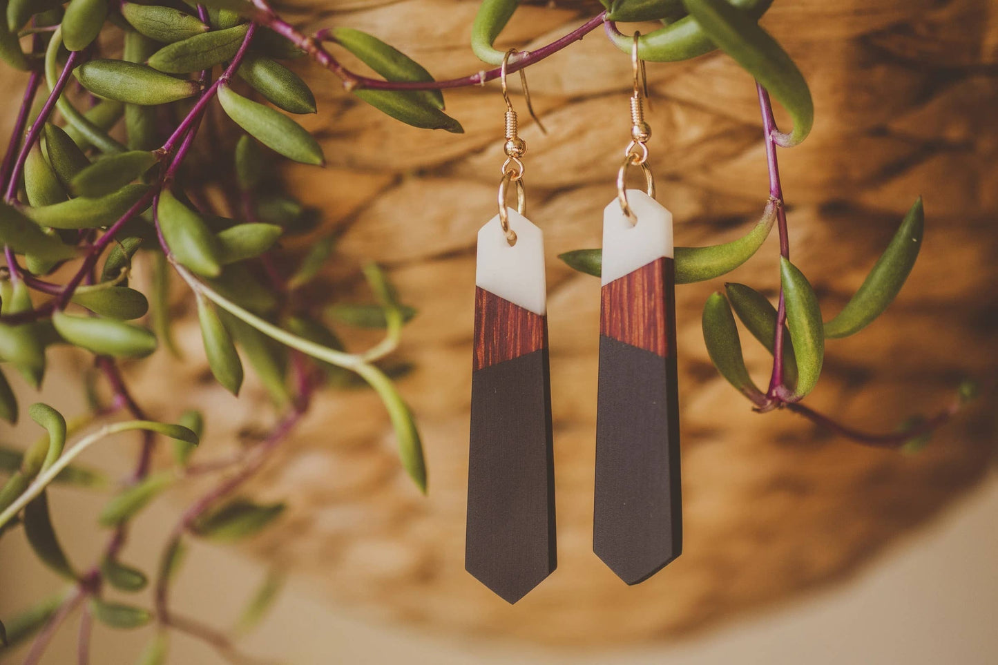 Eko Wooden & Resin Earrings