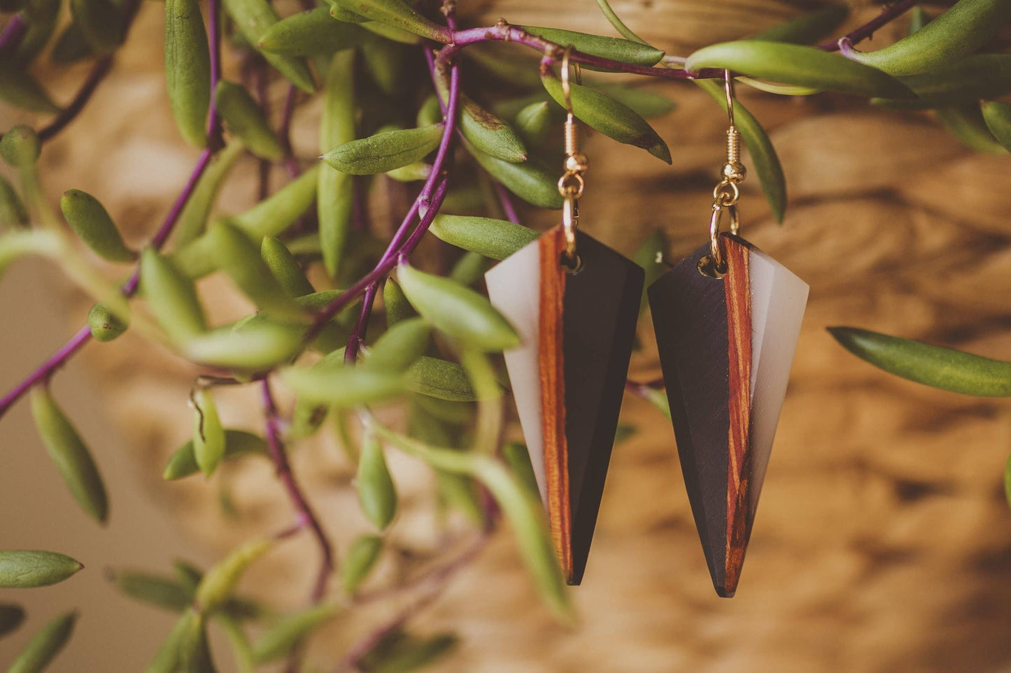 Siri Wooden & Resin Earrings