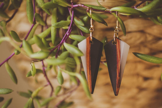 Siri Wooden & Resin Earrings