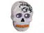 Skull Box Bisqueware