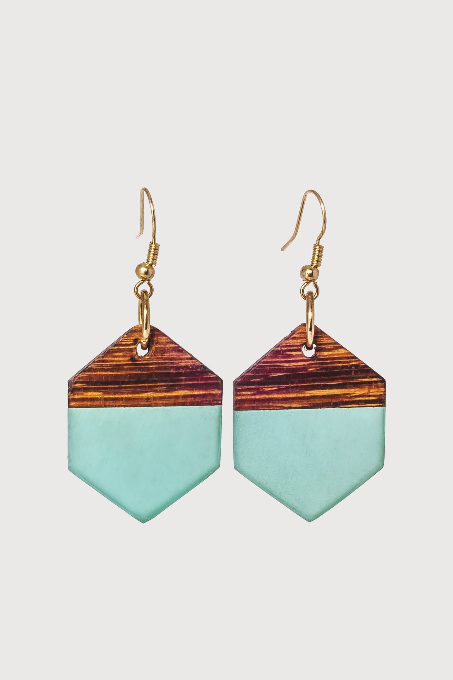 Rowena Wooden & Resin Earrings