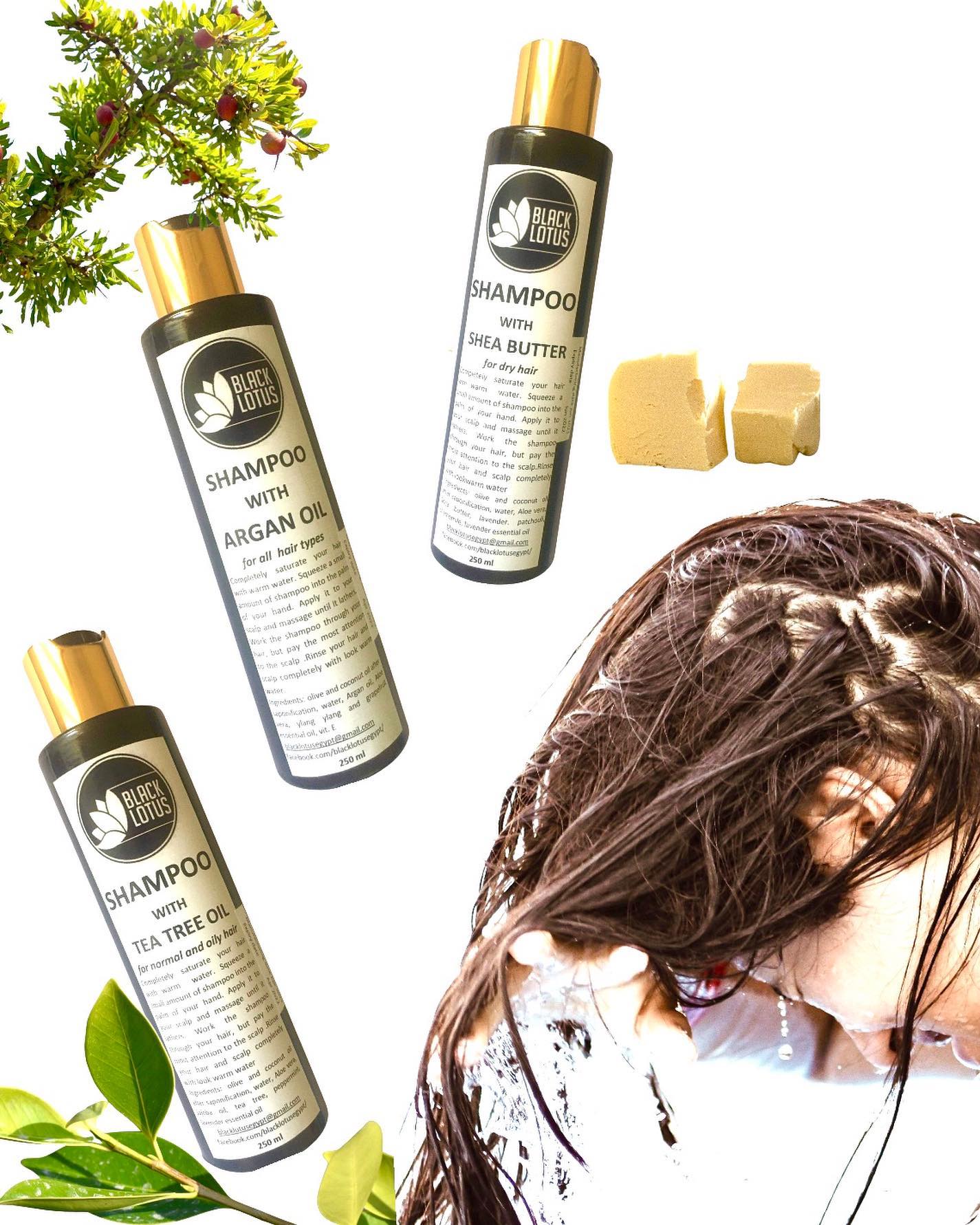 Natural Hair Shampoo