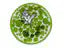 Coupe Fruit Bowl Bisqueware