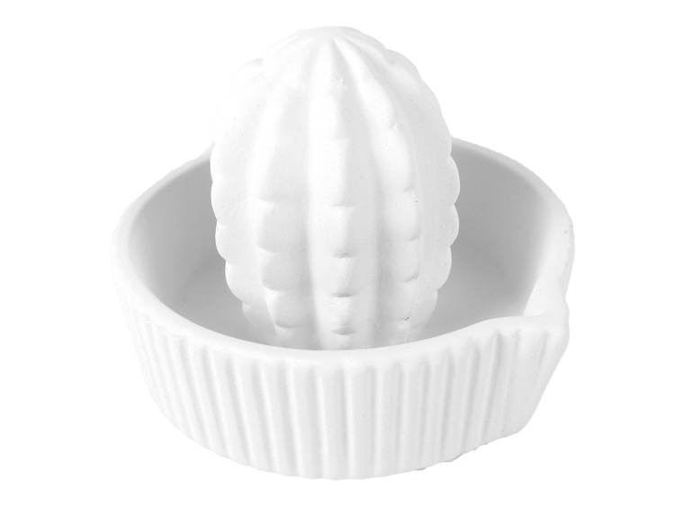 Cactus Juicer Bisqueware