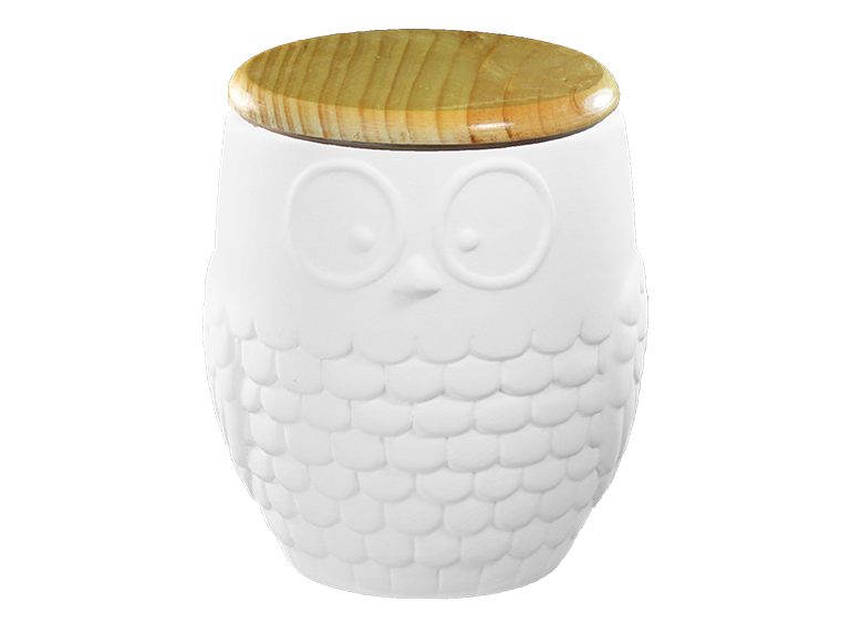 Modern Owl Canister Bisqueware