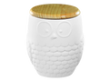 Modern Owl Canister Bisqueware