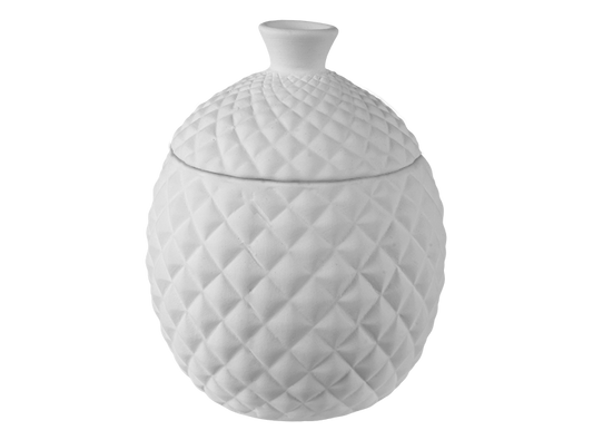 Pinnacle Fruitfly Trap Bisquware