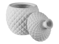 Pinnacle Fruitfly Trap Bisquware