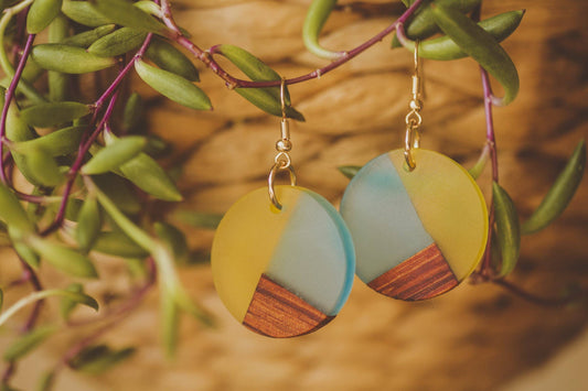 Giana Wooden & Resin Earrings