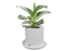 Classic Bookend Planter Bisqueware