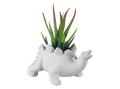 Stegosaurus Planter Bisqueware