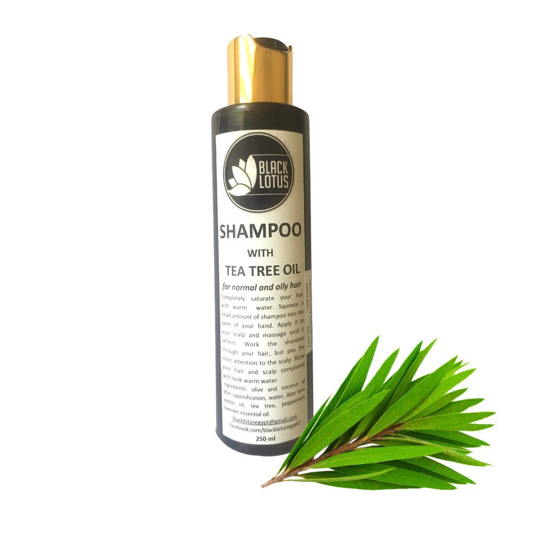 Natural Hair Shampoo