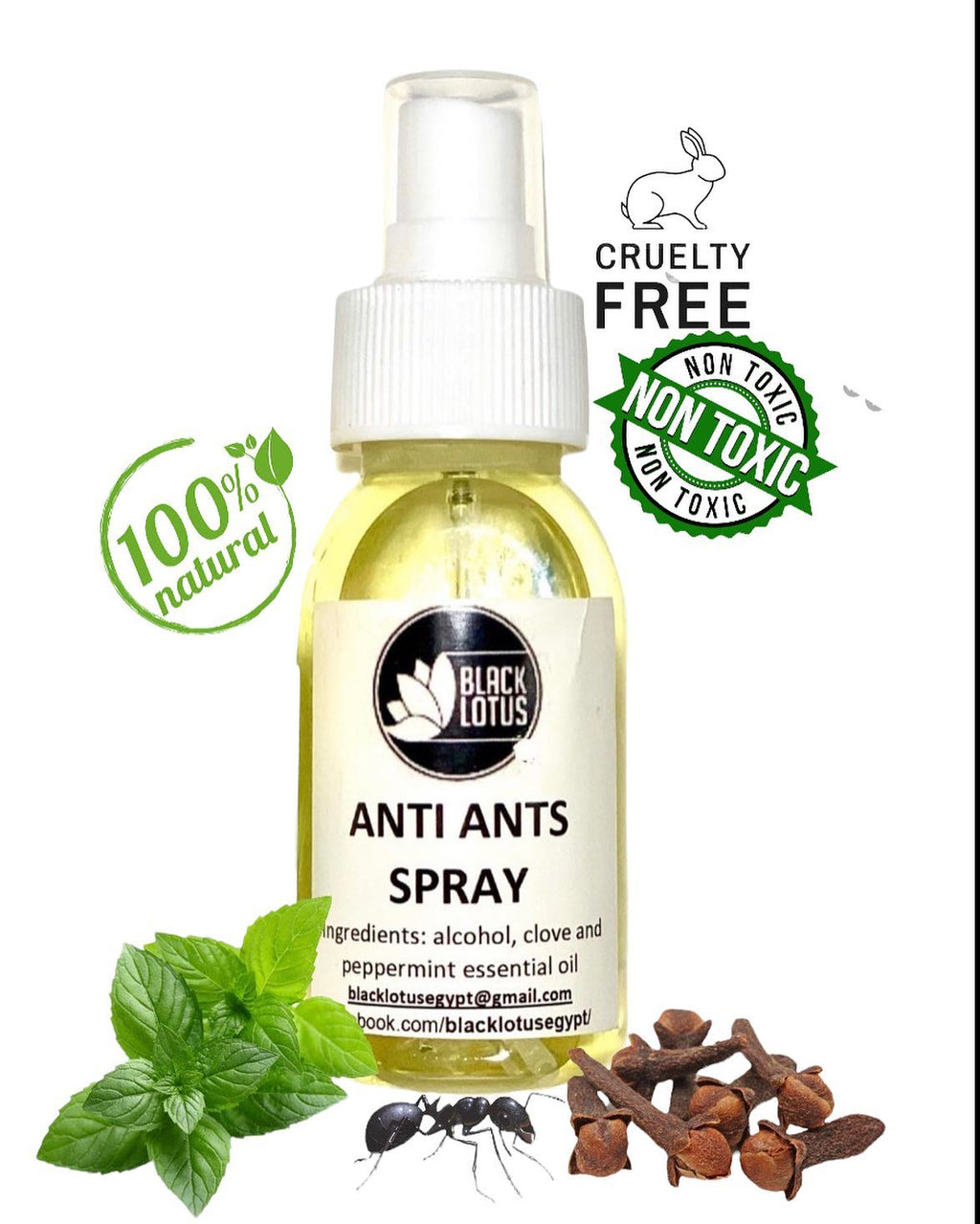 Natural Pest Remedy Spray