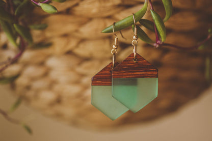 Rowena Wooden & Resin Earrings