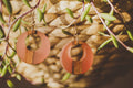 Galway Girl Wooden & Resin Earrings