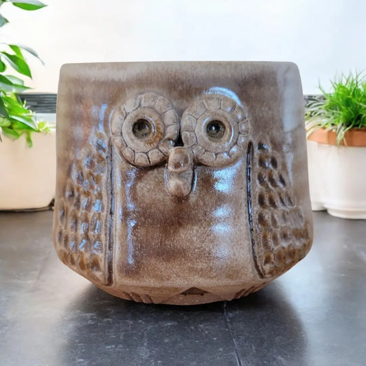 Owl Sponge Holder