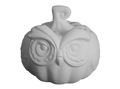 Owl Pumpkin Box Bisqueware