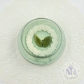 Green Tea & Cucumber - Specialty Jar Candle