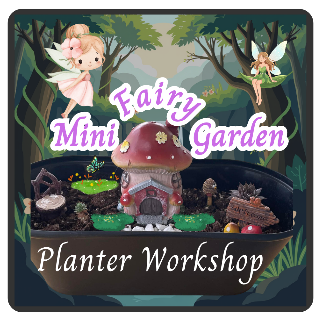Mini Fairy Garden Planter Workshop