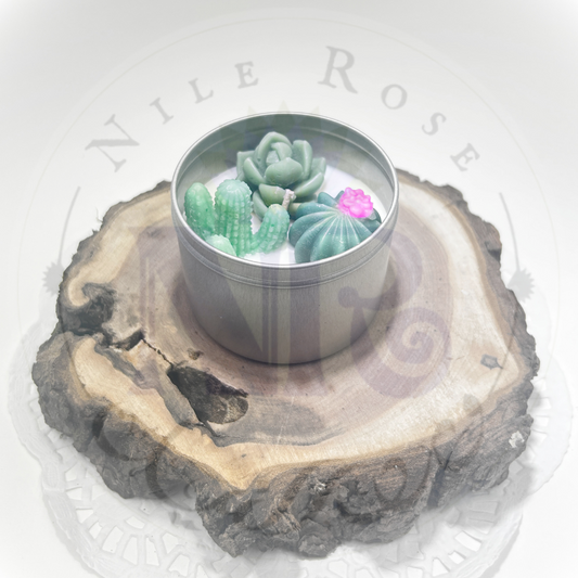 Succulent Agave & Oakmoss - Specialty Tin Candle