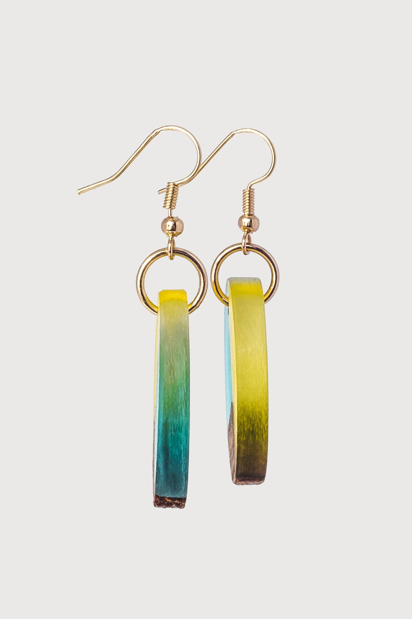 Giana Wooden & Resin Earrings