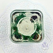Fresh Pine - Forever Gel Candle
