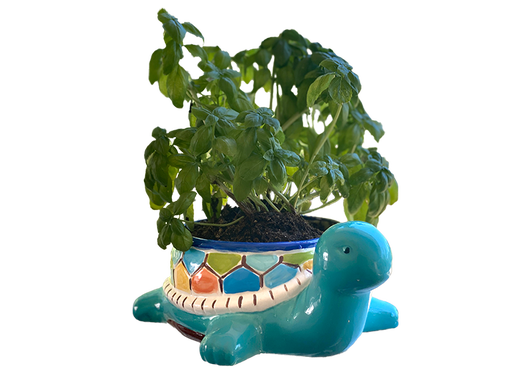 Teddy Turtle Planter