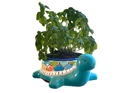 Teddy Turtle Planter