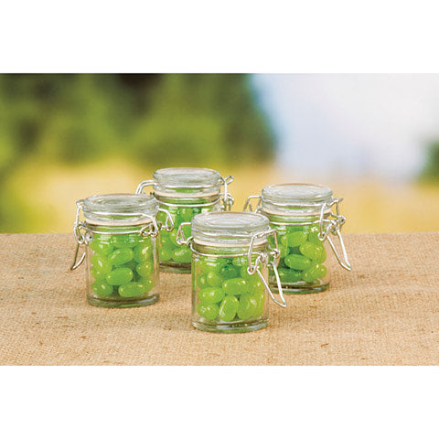 David Tutera™ 2.5 inch Flip Lid Glass Jars, 4 pack