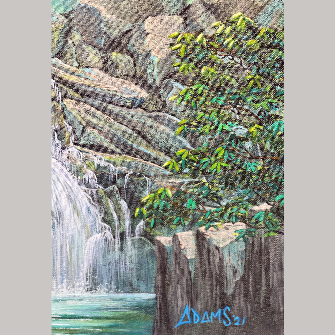 Hawk Falls