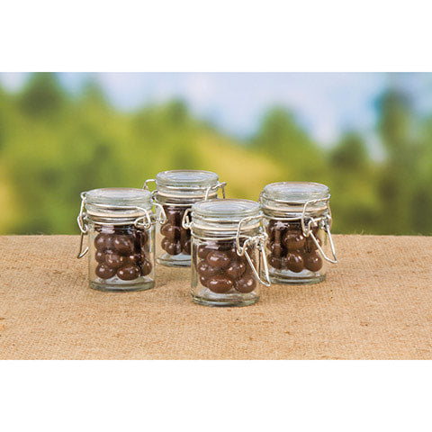 David Tutera™ 2.5 inch Flip Lid Glass Jars, 4 pack