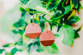 Ava Wooden & Resin Earrings