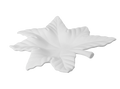 Lovely Leaf Dish Bisqueware