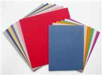Canson MiTeintes Paper Sheet