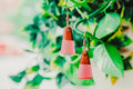 Zara Wooden & Resin Earring