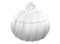 Harvest Jar Bisqueware