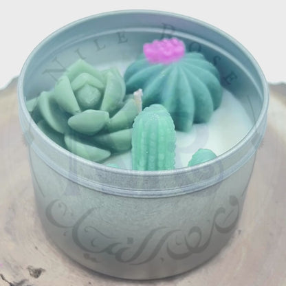 Succulent Agave & Oakmoss - Specialty Tin Candle